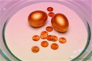 资金流向日报:沪指涨1.60%,136.35亿资金净流入